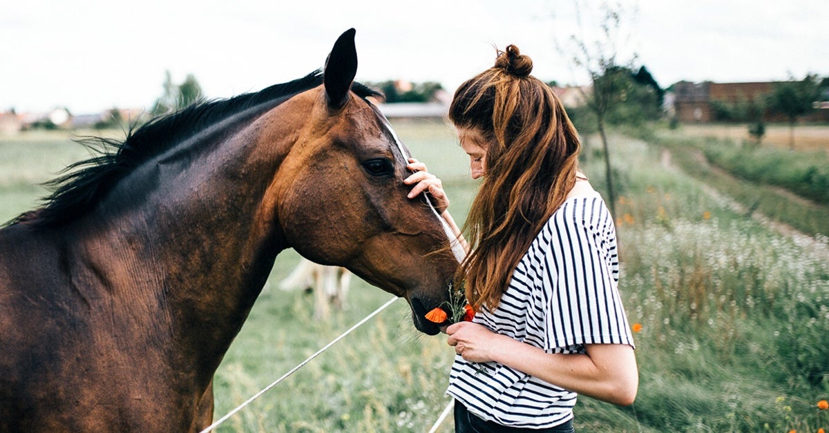 Лошадь способная. Девушка держит лошадь. Конь с поводьями.