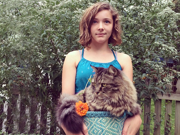 where to get cats fixed