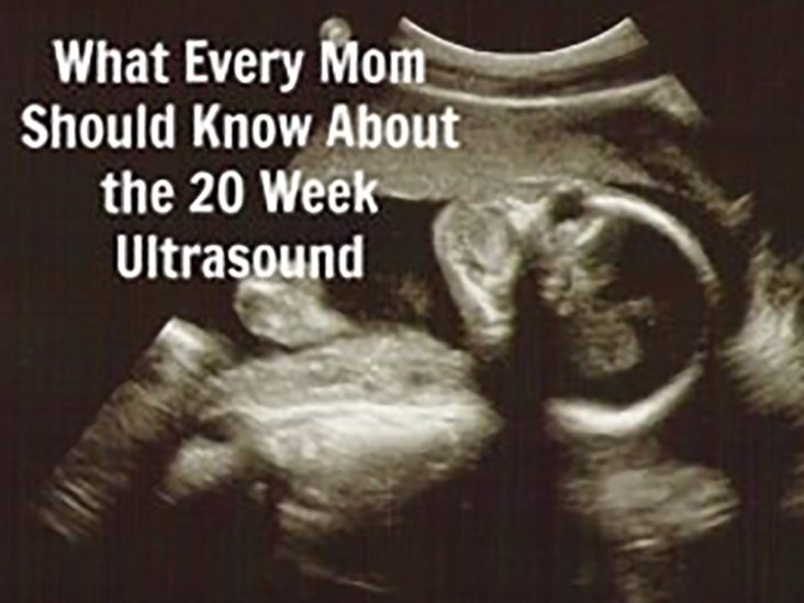 The Anatomy Ultrasound Everything You Should Know