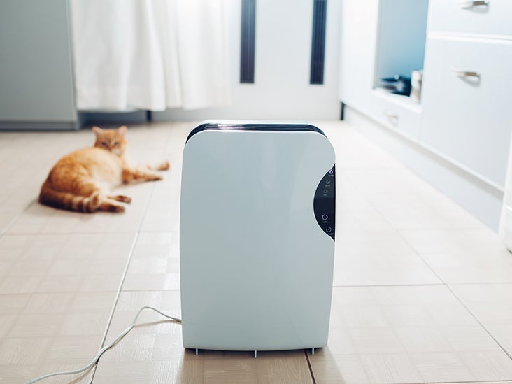 Do Air Purifiers Work Research Best Practices And More