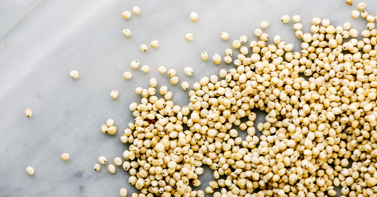 Sorghum Origin Nutrition And Uses