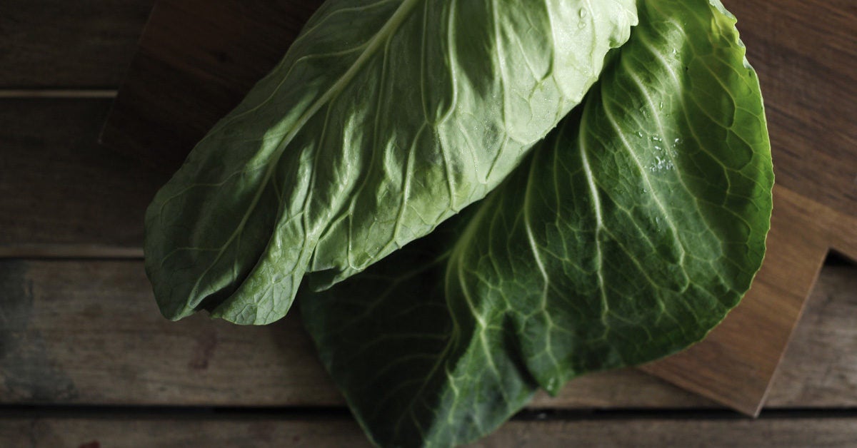 Using Cabbage Leaves for Weaning, Mastitis, More