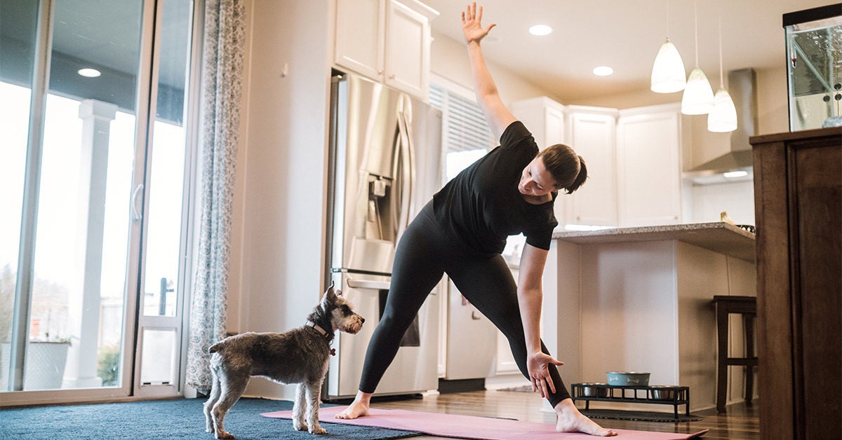 indoor dog gym near me