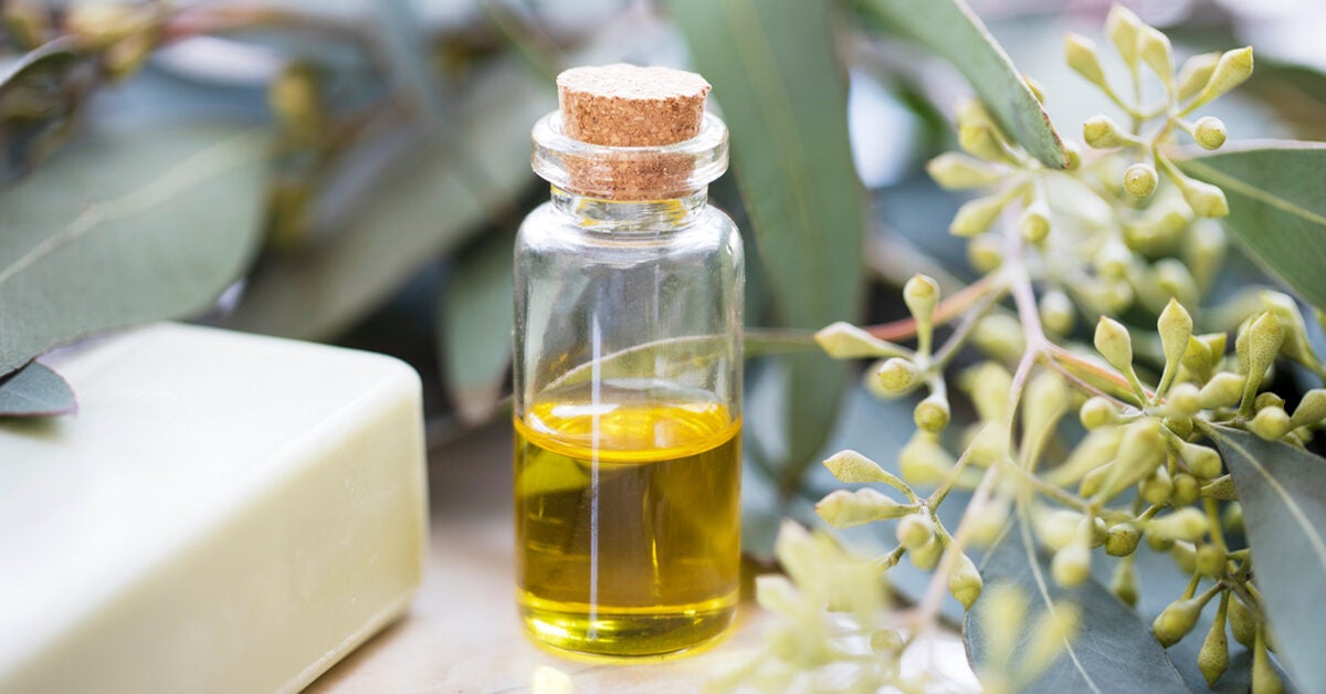 apple cider vinegar tick repellent