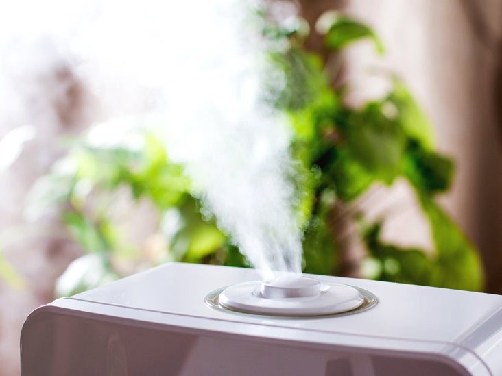 humidifier for allergies