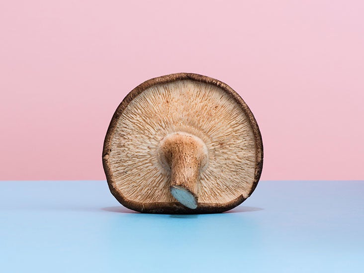 6 Mushrooms That Act as Turbo-Shots for Your Immune System