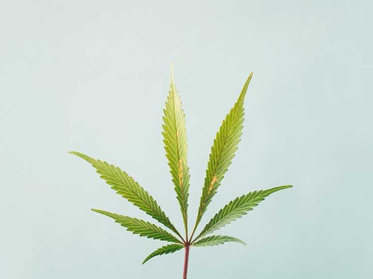 Medical Marijuana Why I Tried It