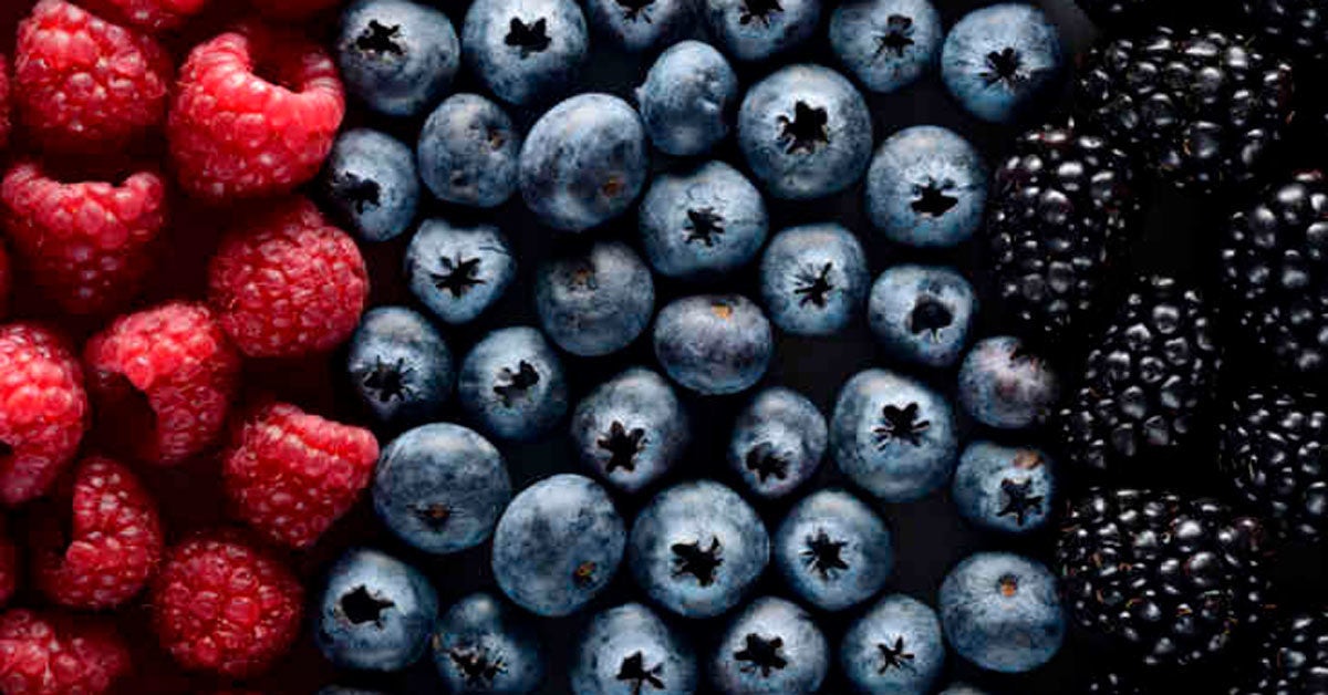 11 Reasons Why Berries Are Among the Healthiest Foods on Earth