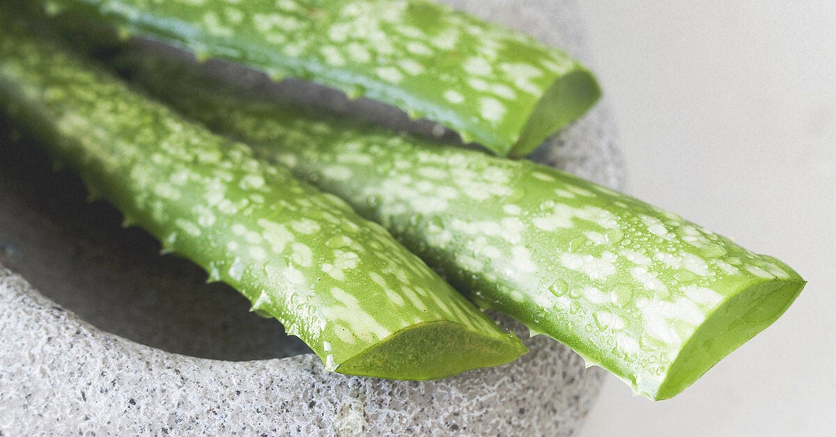 Aloe Vera for Acne: 7 Ways to Get Rid of Pimples