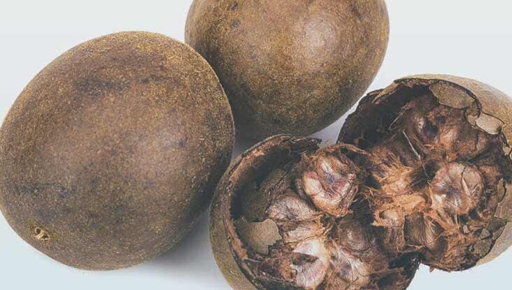 is monk fruit safe for dogs