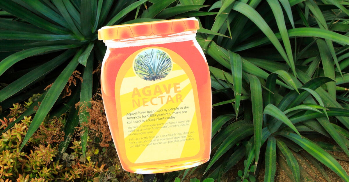 agave-syrup-as-a-diabetes-friendly-sugar-substitute