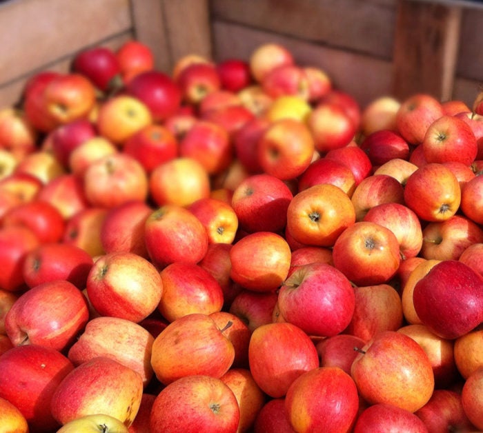 Apples The Superfood's Health Benefits