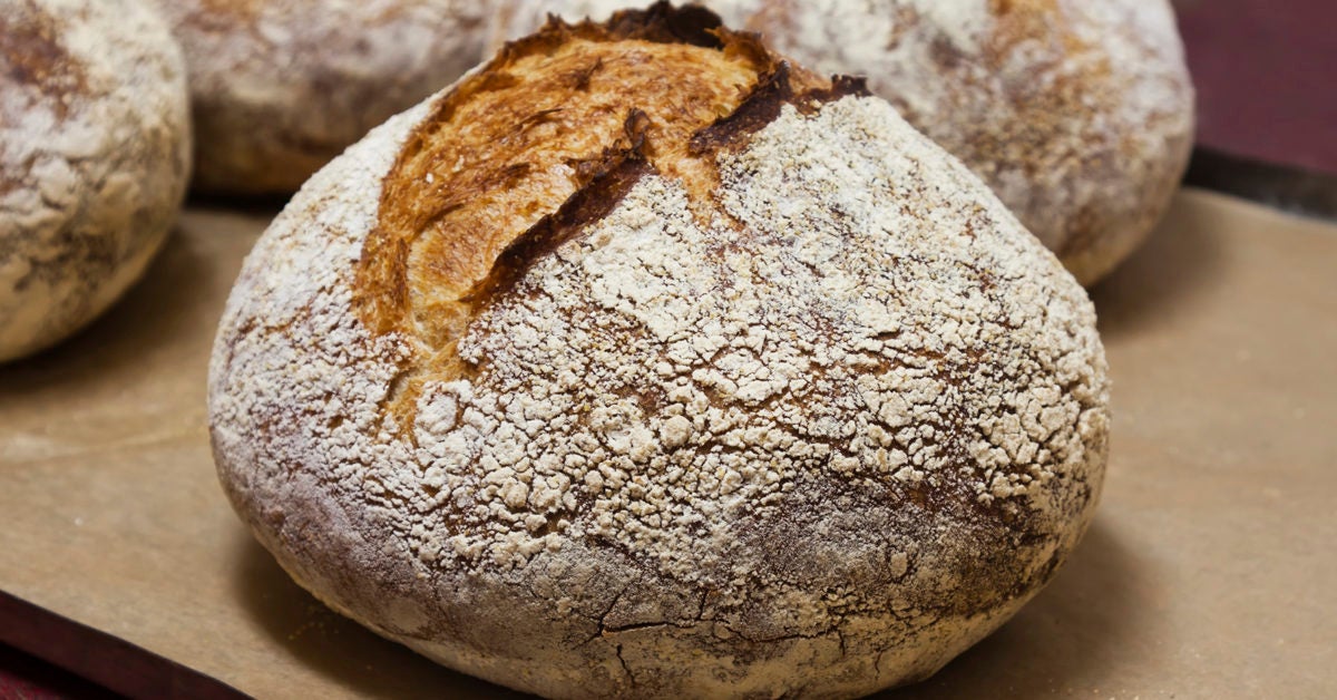 How To Stop Barley Bread From Crumbling : Spelt Sourdough ...
