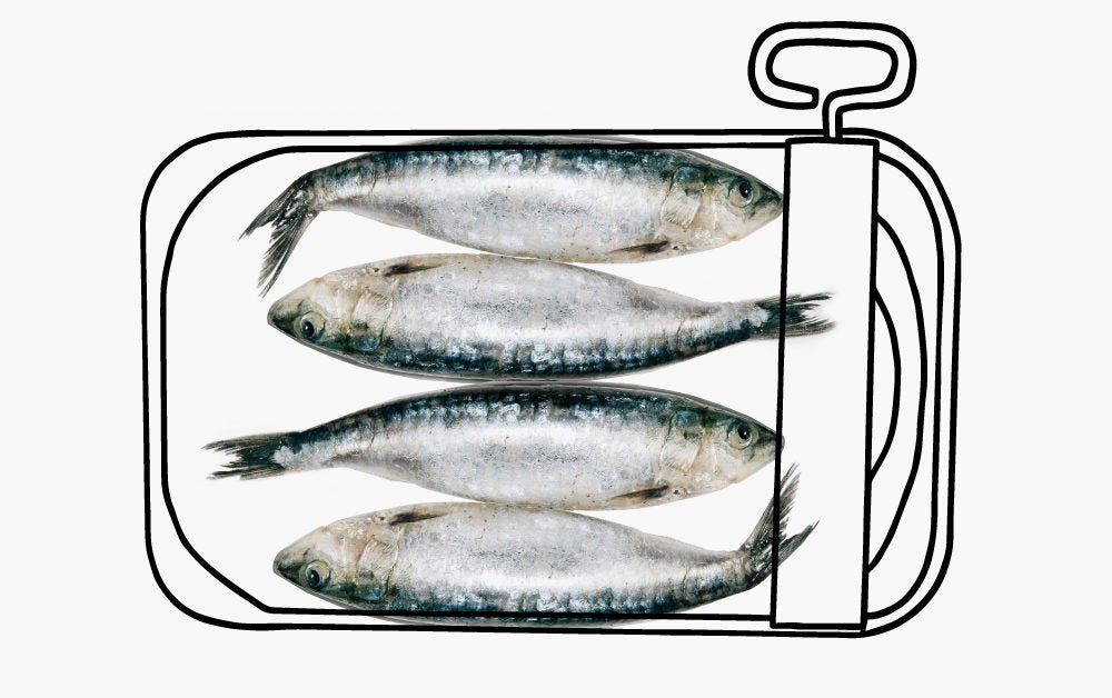 Essential Amino Acids The Only Facts You Need to Know