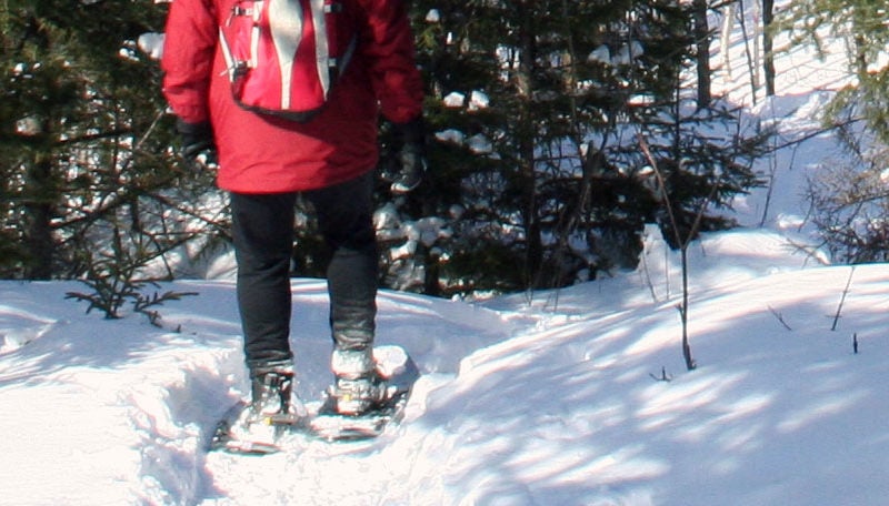 What Is Snowshoeing Know Before You Go