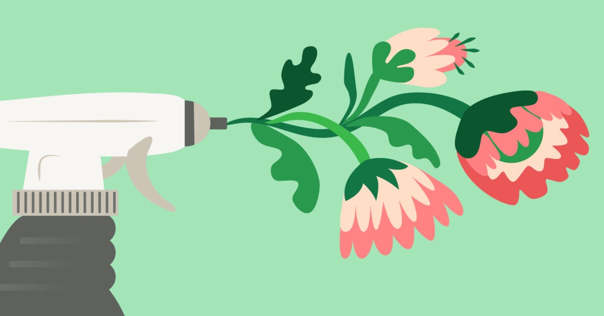 Household Chemicals Can Cleaning Your Home Make You Sick?