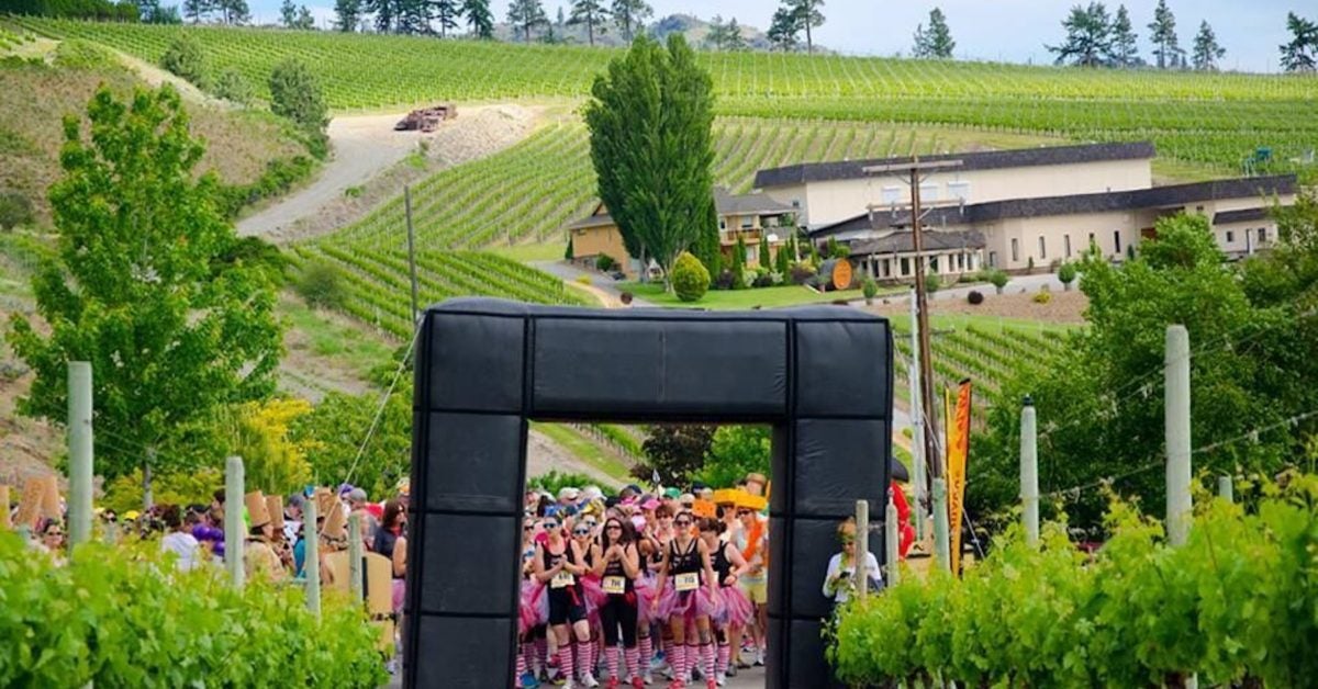 Wicked Wine Run and Other Awesome Wine Runs Around the World