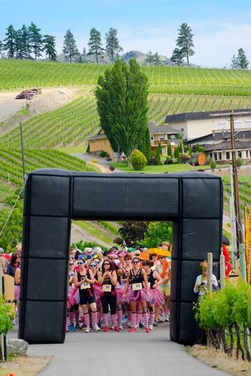 Wicked Wine Run and Other Awesome Wine Runs Around the World