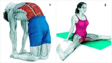 Camel Pose and Wide Forward Fold
