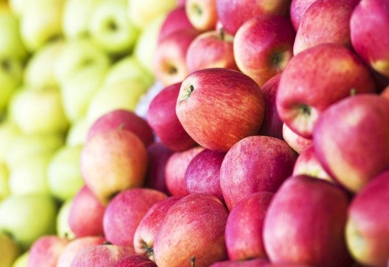 Best Foods for Your Teeth