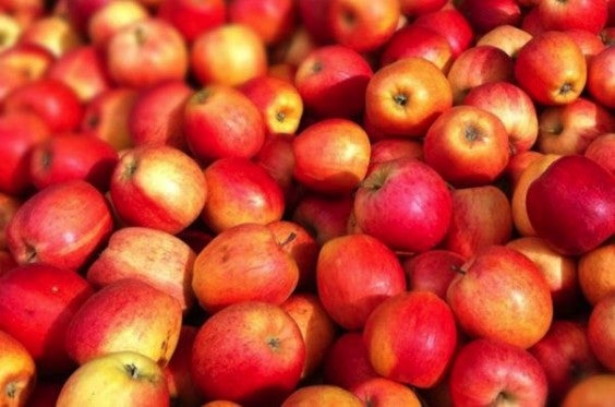 Apples