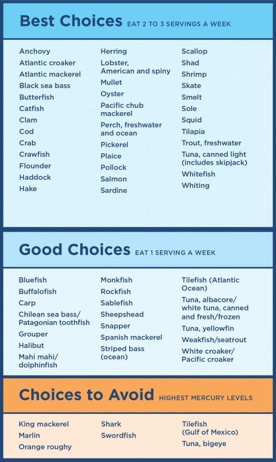 Seafood Pregnancy Chart