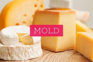 Mold