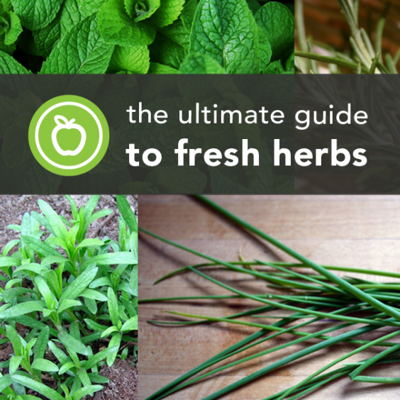 Herb Leaves Identification Chart