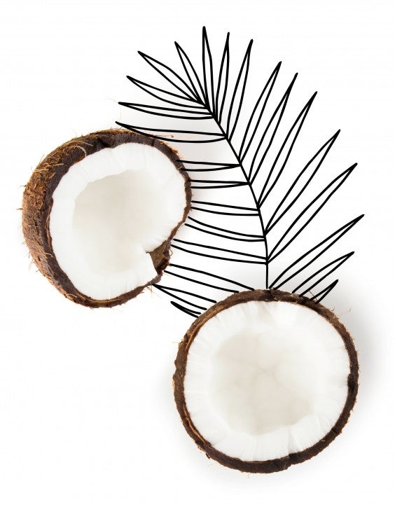 Coconuts - Kind