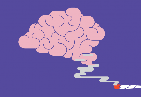Weed and the Brain