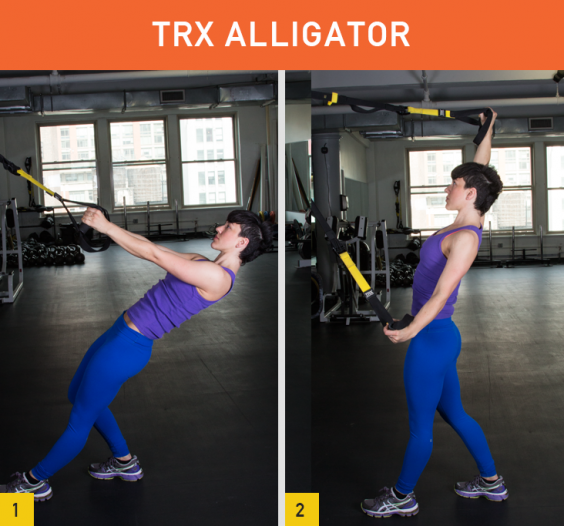 Workout Poster Included TRX Suspension Training: Bodyweight Fitness Resistance Training Fitness for All Levels & All Goals for Total Body Workouts for Home & Travel Lightweight & Portable