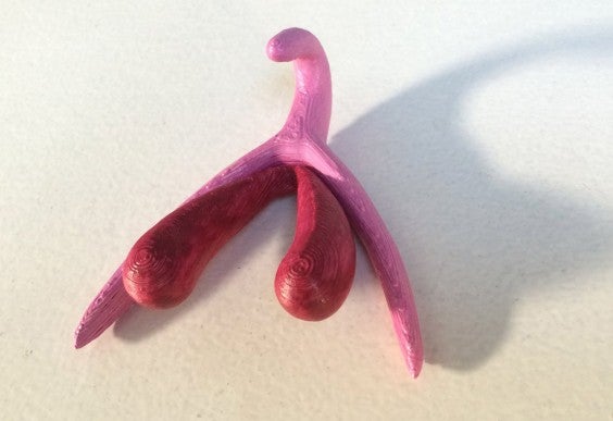 Clitoris