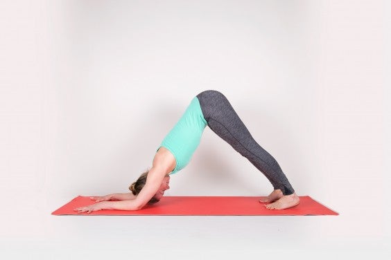 Dolphin Pose