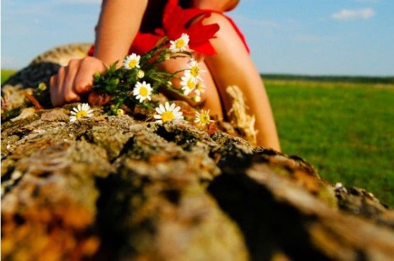 flowers friendship