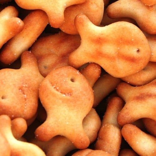 Gold-fish