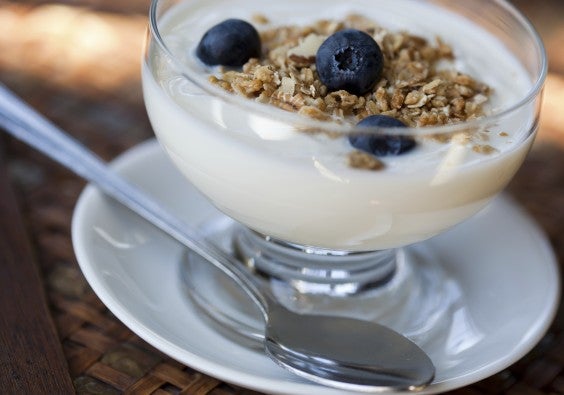 Under Dollar Foods: Yogurt