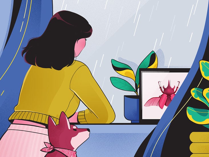 You Will Survive This, If You Surround Yourself with Comfort