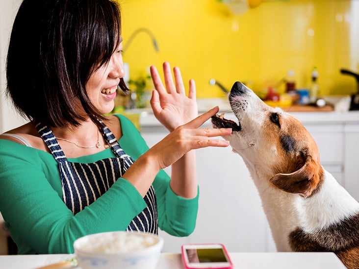 Homemade Dog Food 6 Recipes Delicious Enough for Humans to