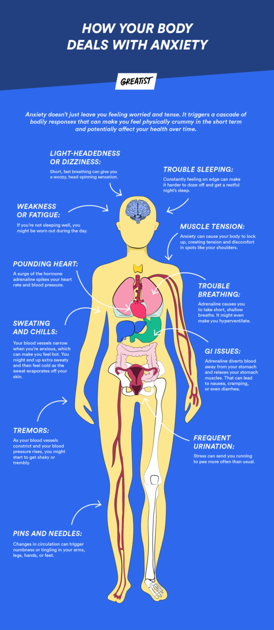 The Physical Symptoms Of Anxiety What To Expect