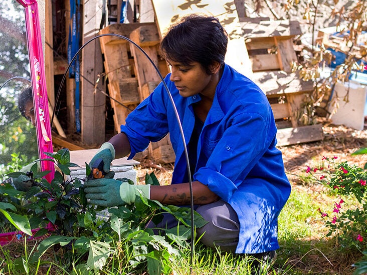 Aged Care Gardening