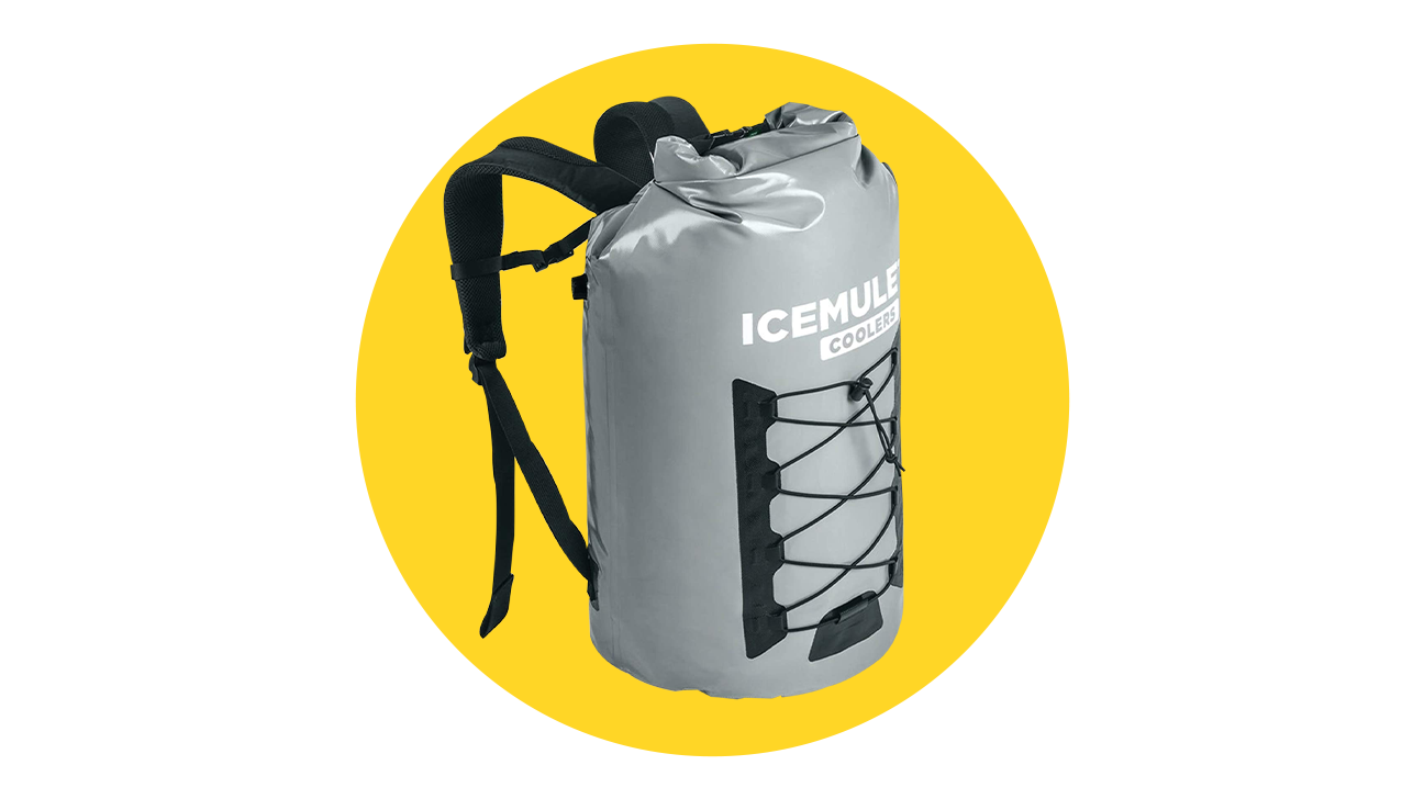 best insulated backpack cooler