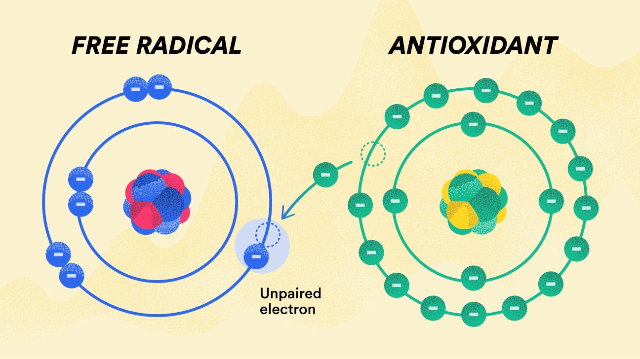 free-radicals-where-they-come-from-and-how-they-affect-the-body