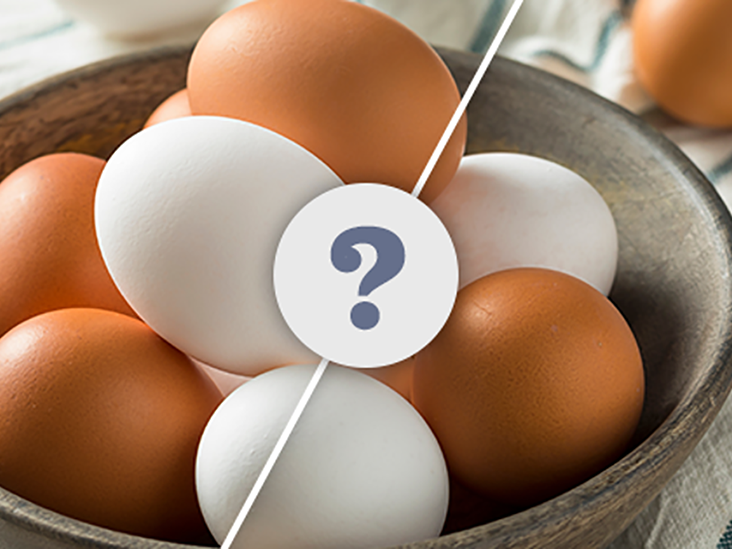 Brown Eggs and White Eggs What Is the Difference?