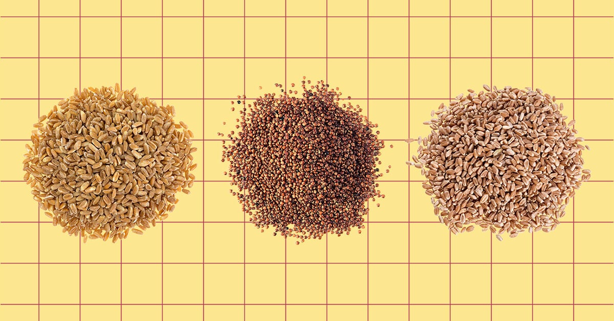 Quinoa vs Farro vs Wheat Berries What’s the Difference? aglomot