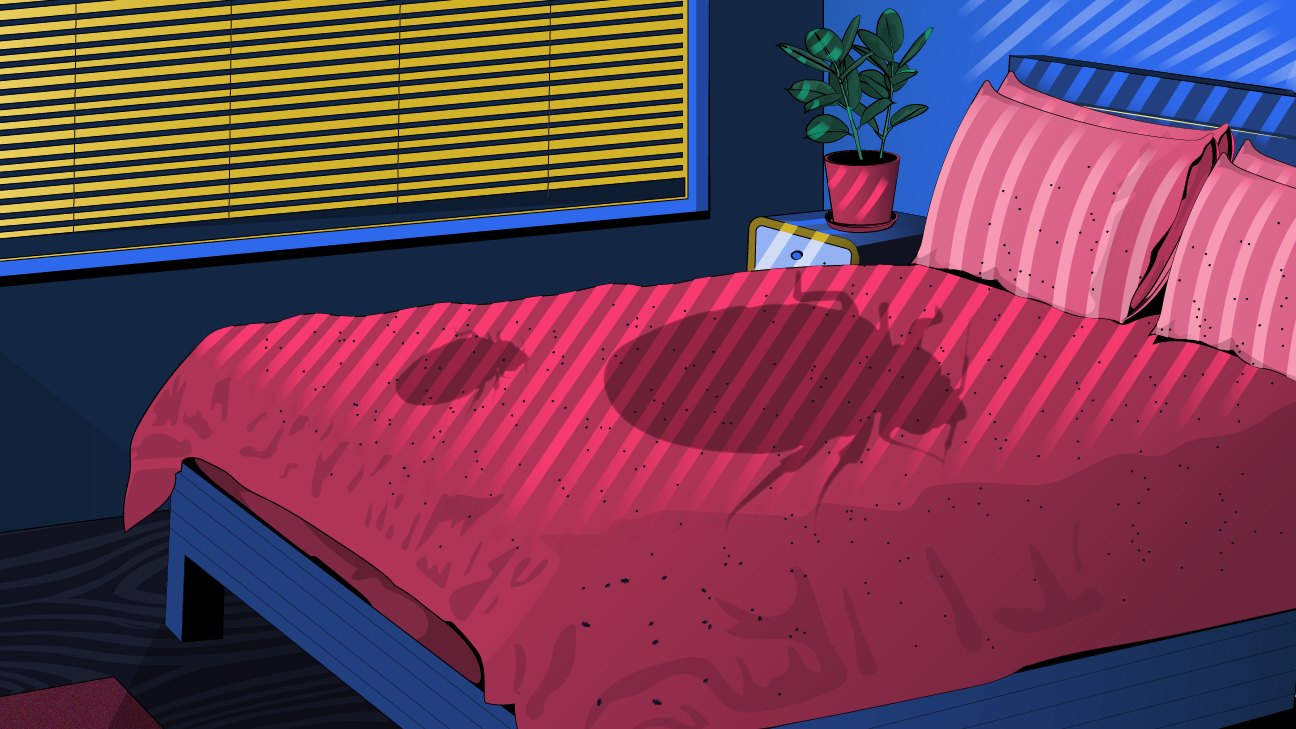 how to get rid of bed bugs