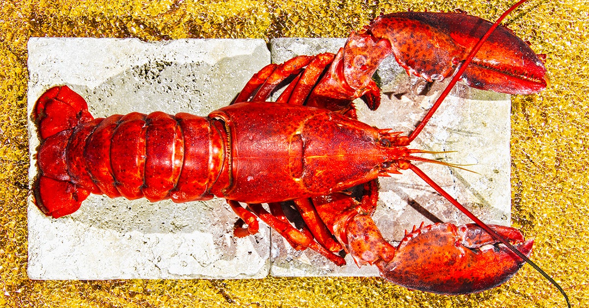 Lobster Nutrition Is It Good For You And How Much Is OK To Eat 