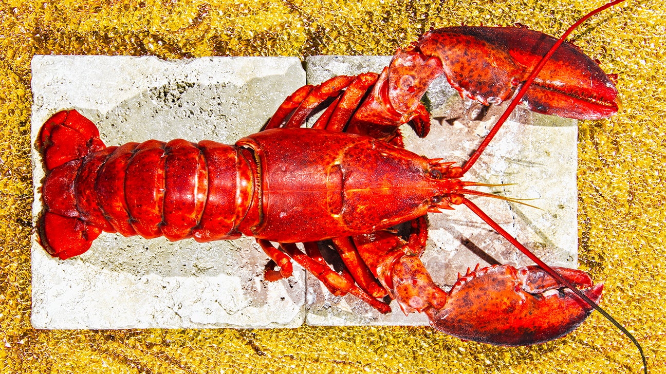 lobster nutrition