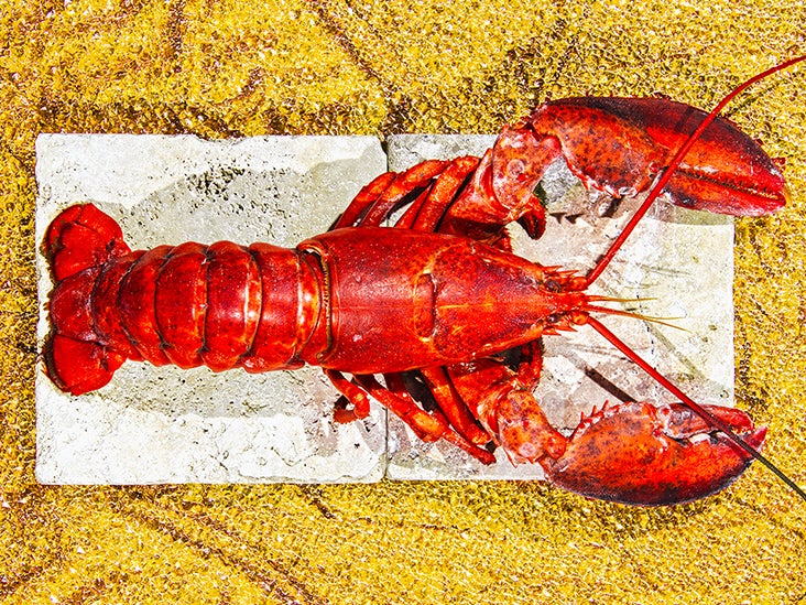 Mijnwerker Wereldvenster Ontvangst Lobster Nutrition: Is It Good for You and How Much Is OK to Eat?