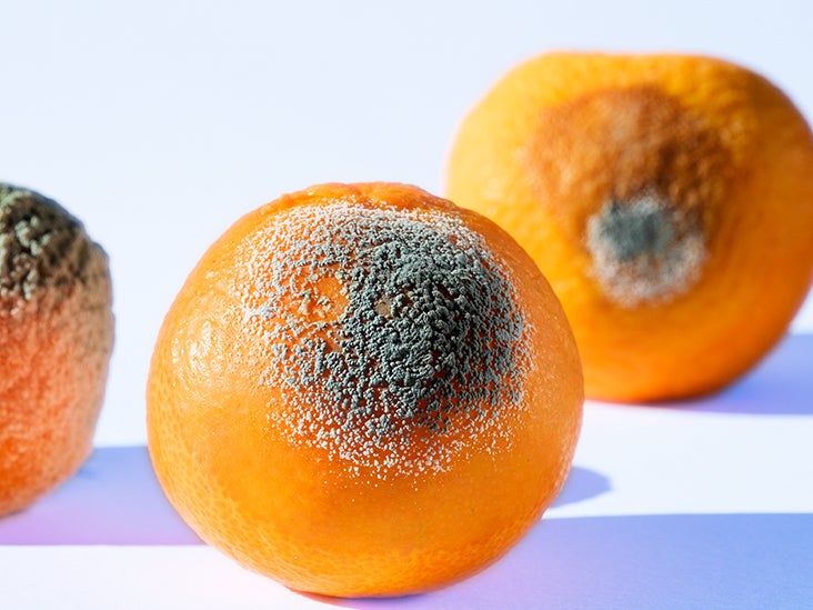 What Happens If You Eat a Bad Orange? 