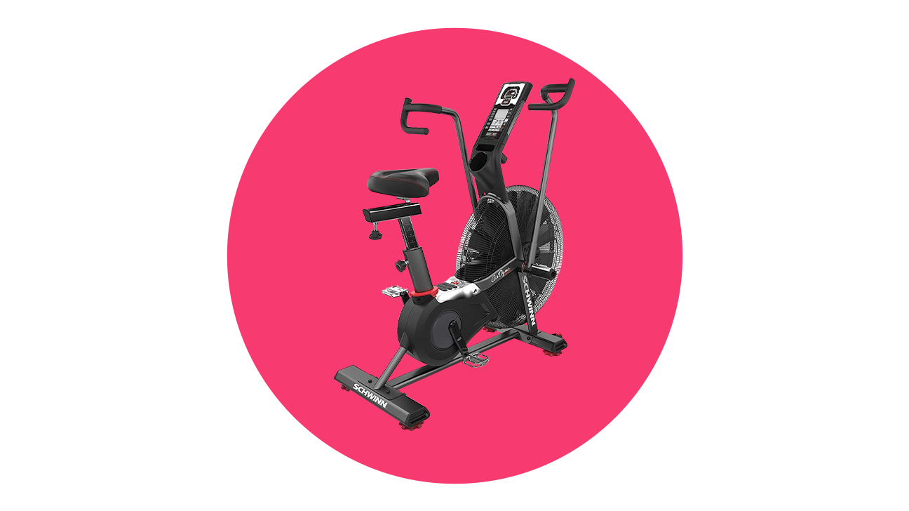 SCHWINN Airdyne Pro Exercise Bike